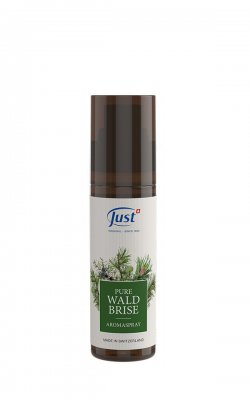 Aromaspray Czysta leśna bryza 100 ml